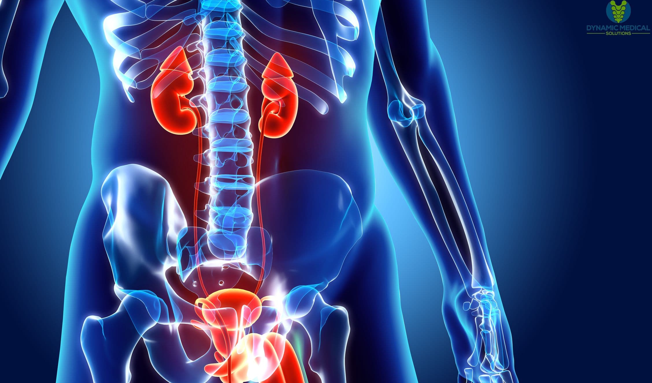 Urology A Comprehensive Guide for Patients and Doctors
